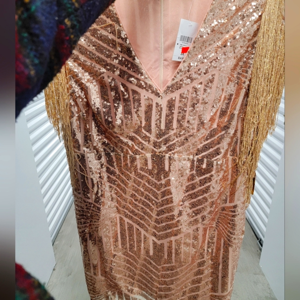 Rose Gold Tassel Mini Dress ✨️